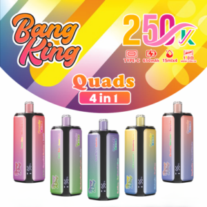 Bang King 250000 Puffs 4-in-1 Vape – Ultra High Capacity